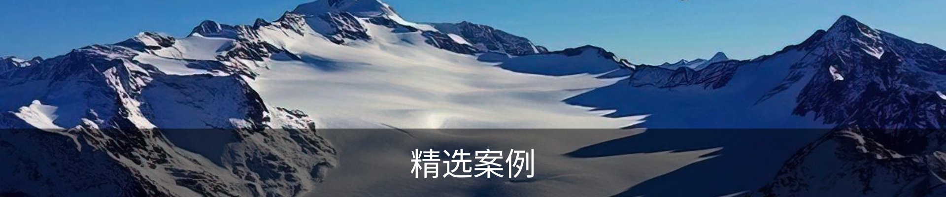 精选案例